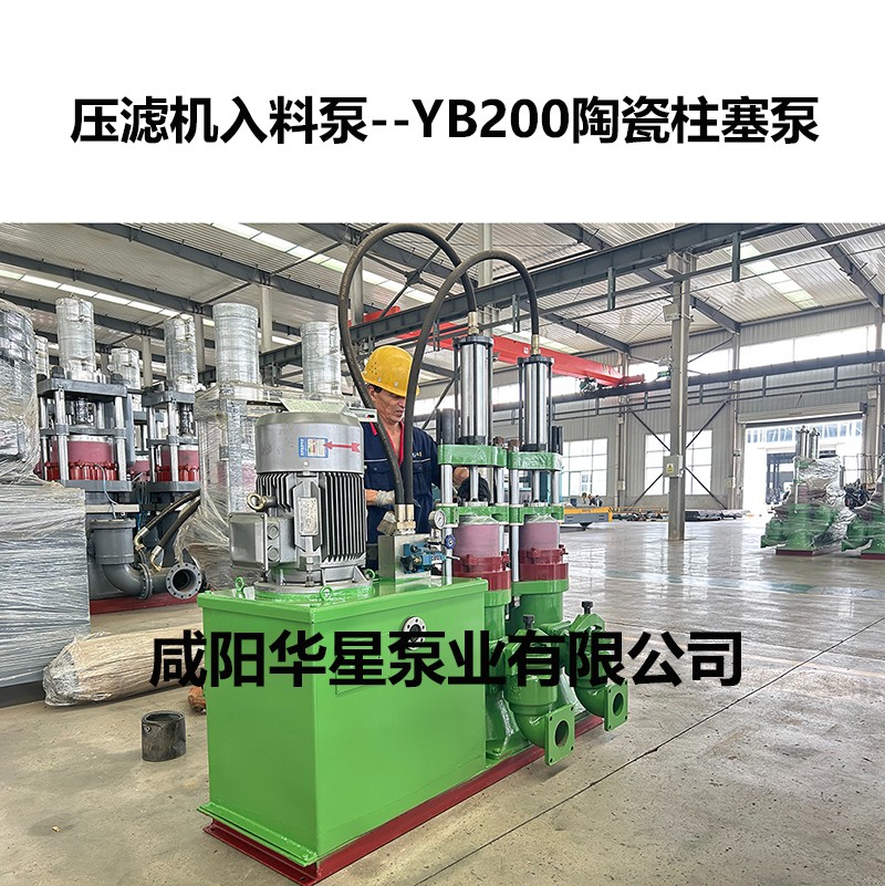 YB200.jpg